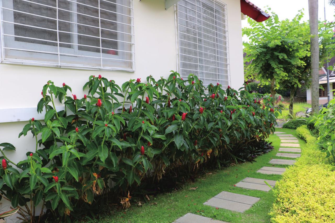 Diyar Villas Puncak M4/12 エクステリア 写真